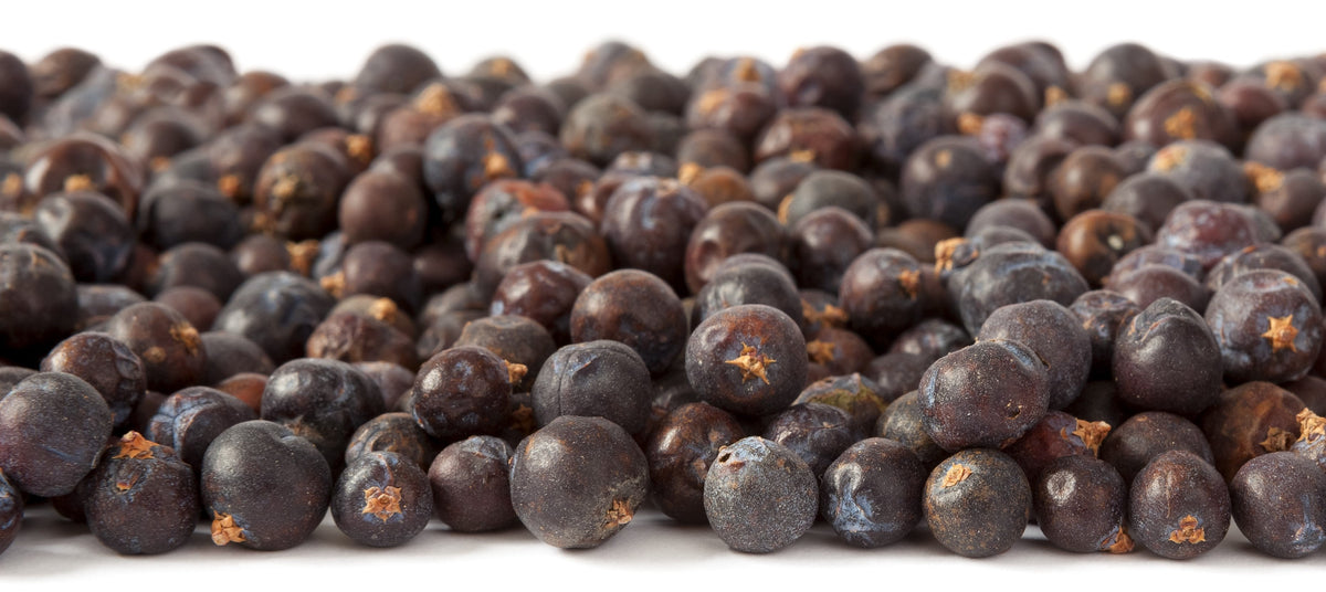 Juniper Berries are a Superfood