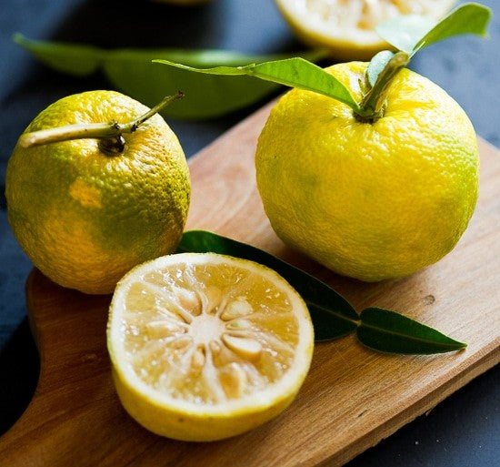 What is a Japanese Yuzu?
